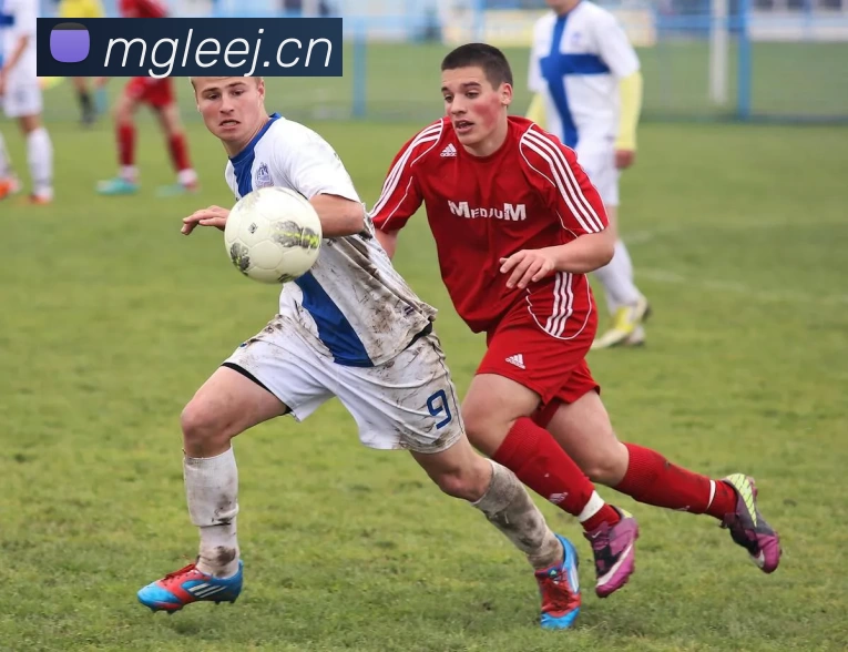 kaiyun「中国大陆」云开·门户网站 - 官方网站|登录入口服务体系