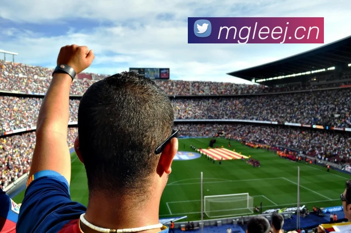 多媒体互动体验